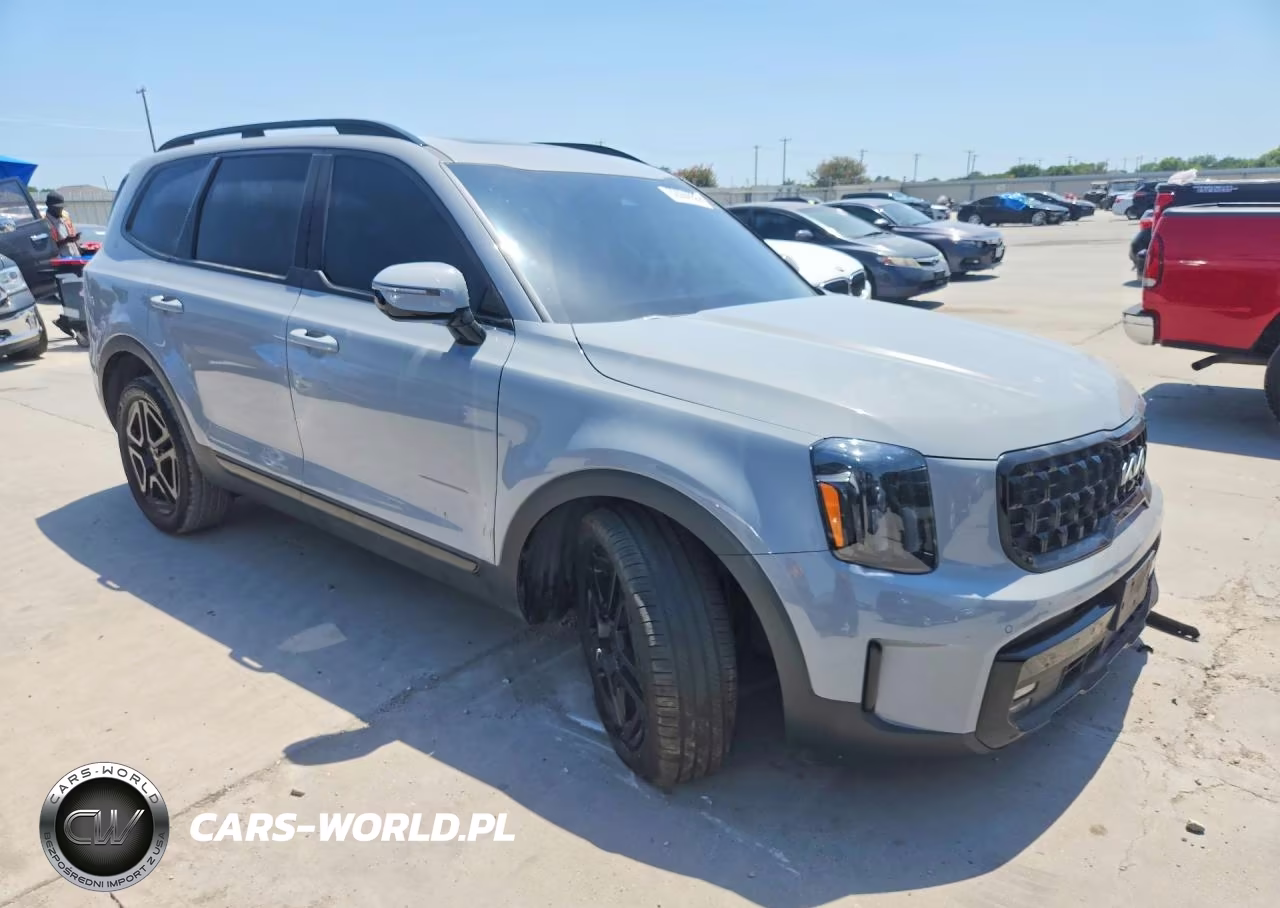 2024 Kia Telluride Sx-Prestige X-Line VIN:5XYP5DGC0RG556968 - 4