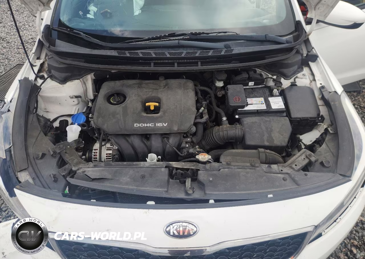 2017 Kia Forte Lx VIN:3KPFK4A70HE146800 - 11