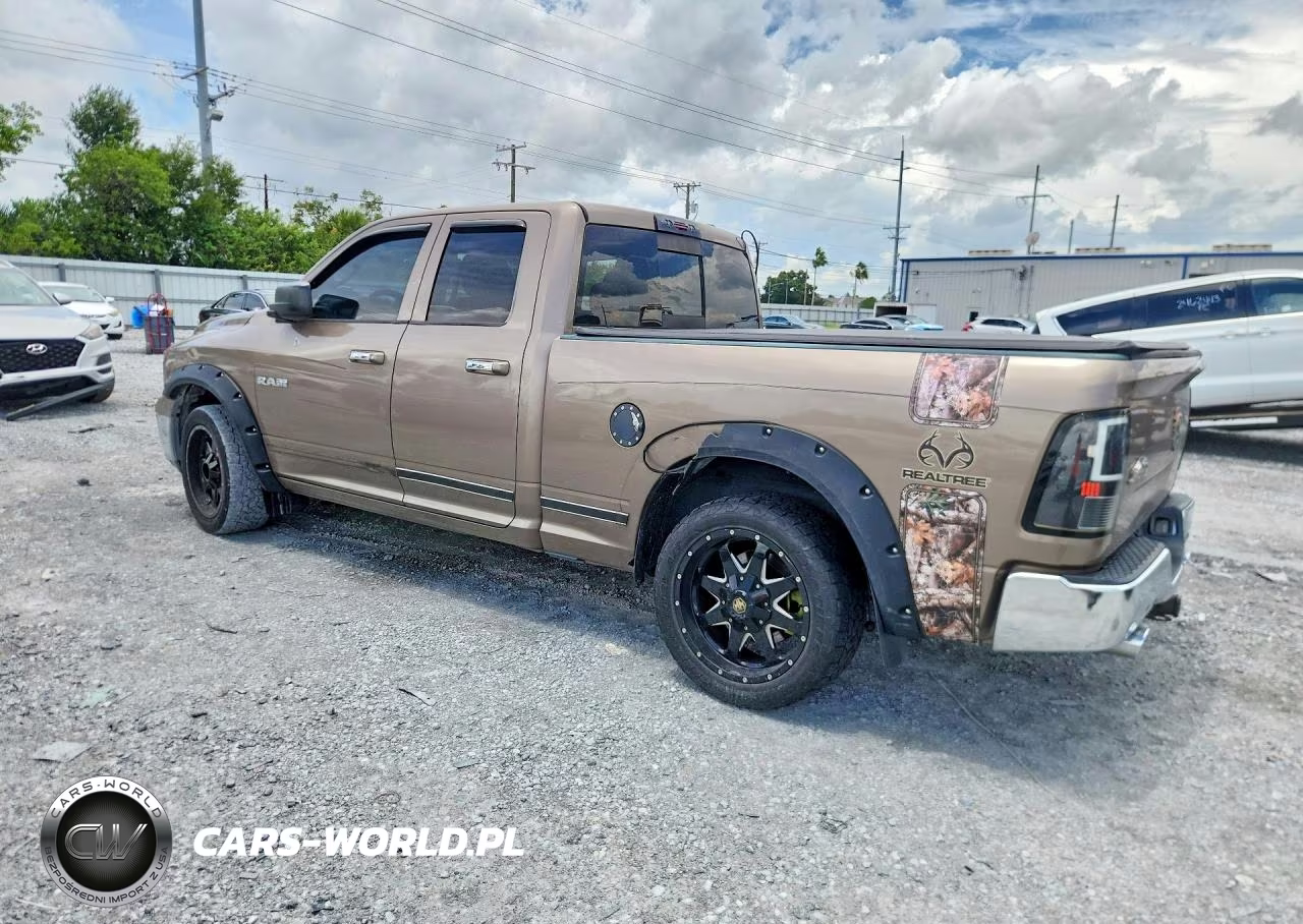 2009 Dodge Ram 1500 VIN:1D3HB18T59S790437 - 2