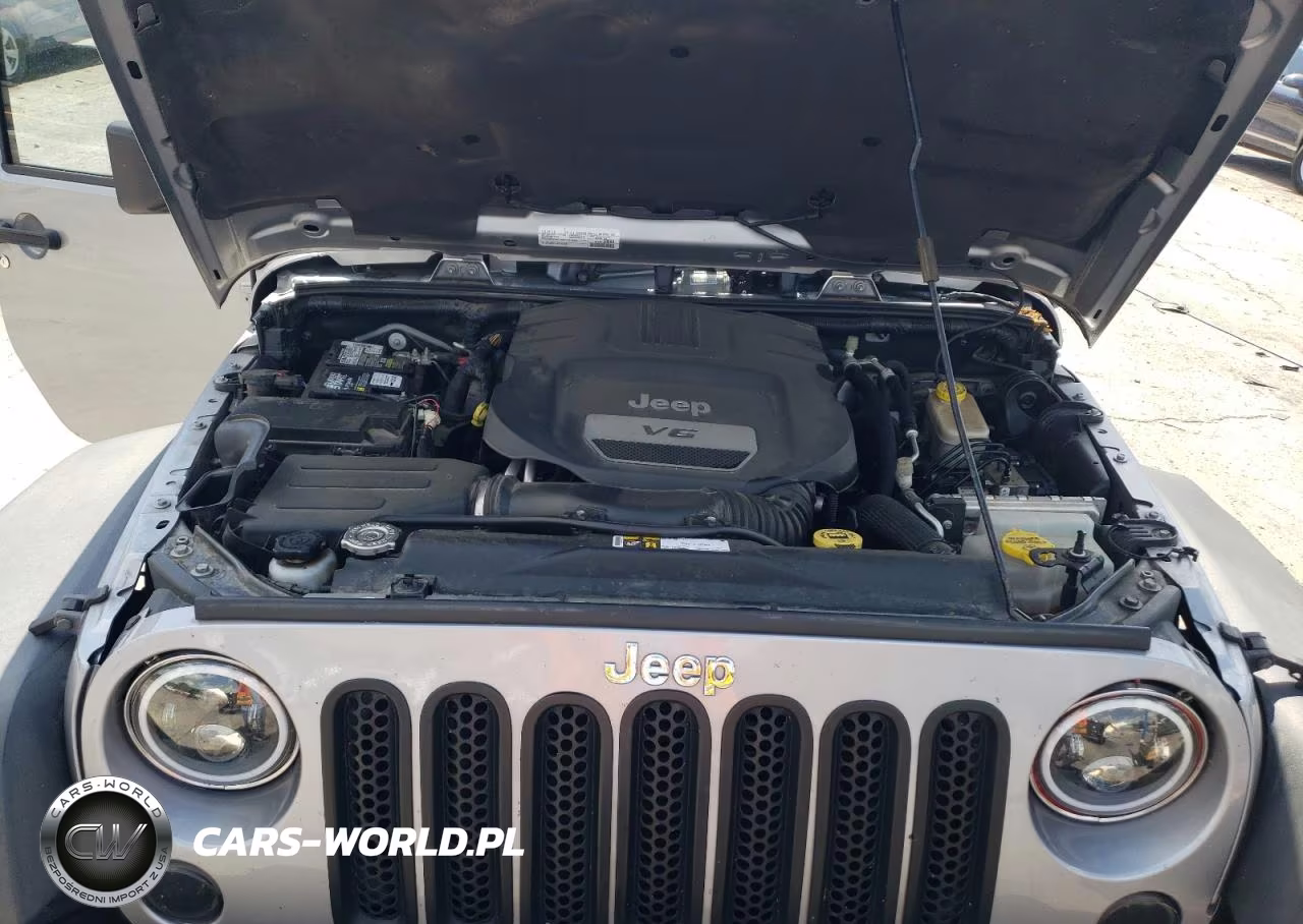 2016 Jeep Wrangler Unlimited Rubicon VIN:1C4BJWFG1GL127894 - 12