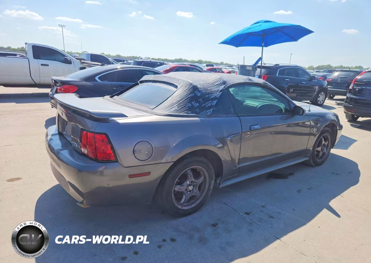2003 Ford Mustang VIN:1FAFP44443F447643 - 3