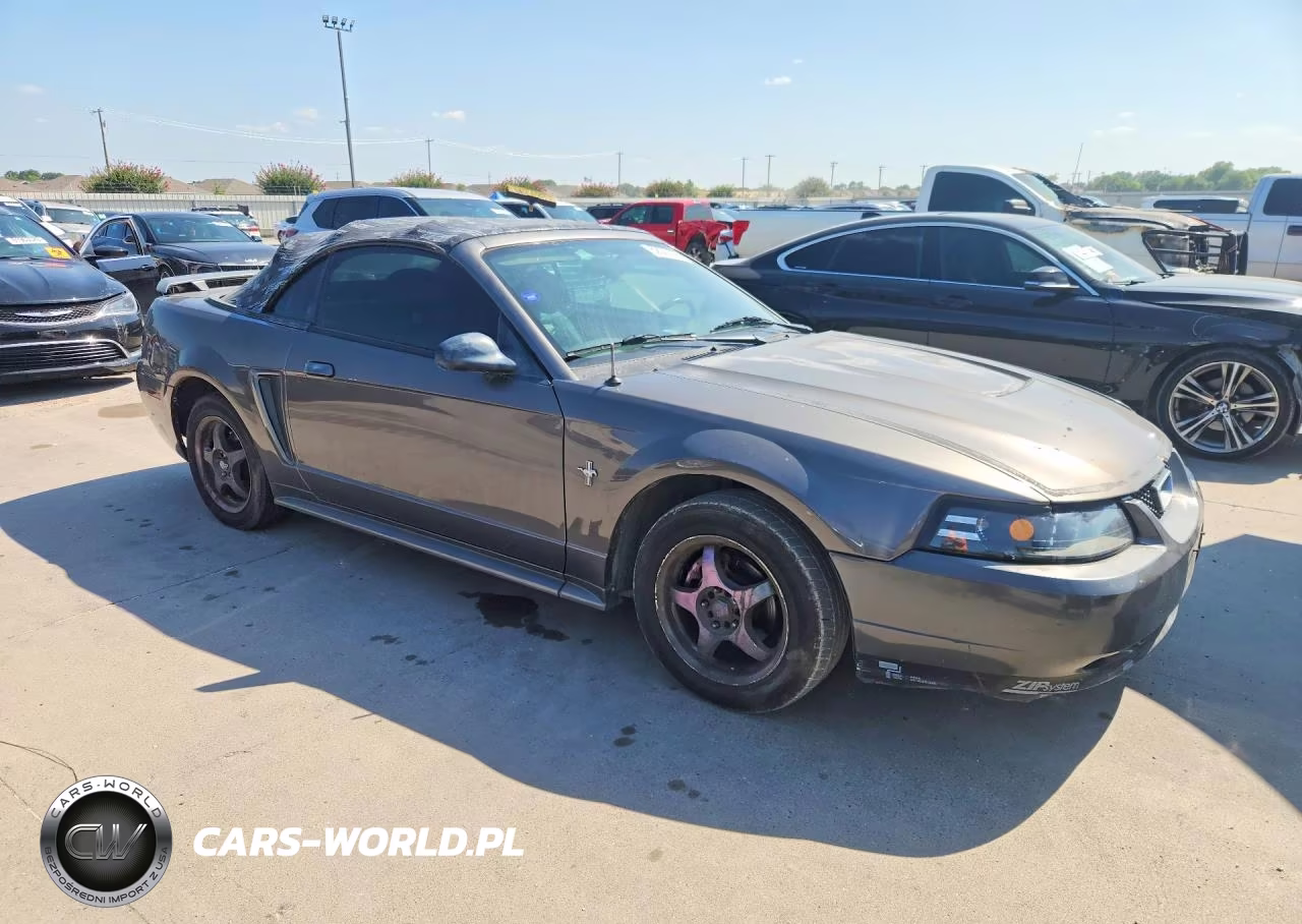 2003 Ford Mustang VIN:1FAFP44443F447643 - 4