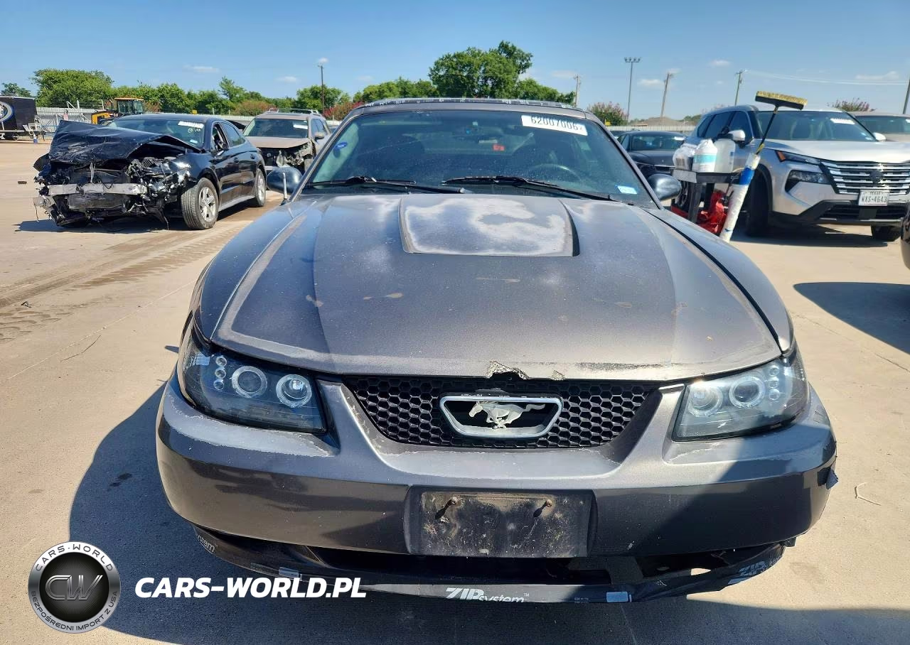 2003 Ford Mustang VIN:1FAFP44443F447643 - 5