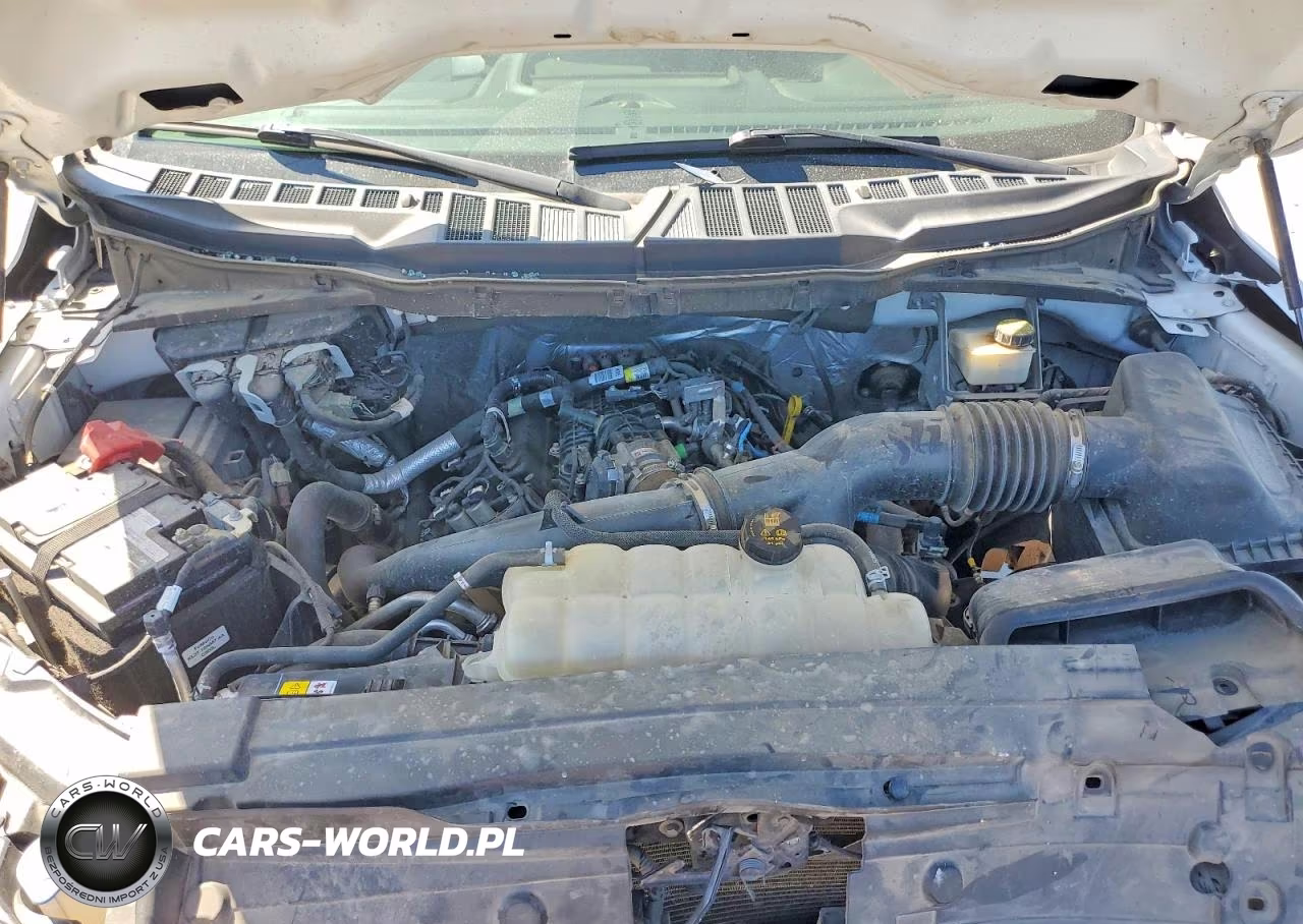 2021 Ford F150 Supercrew VIN:1FTEW1CP1MKD68930 - 11