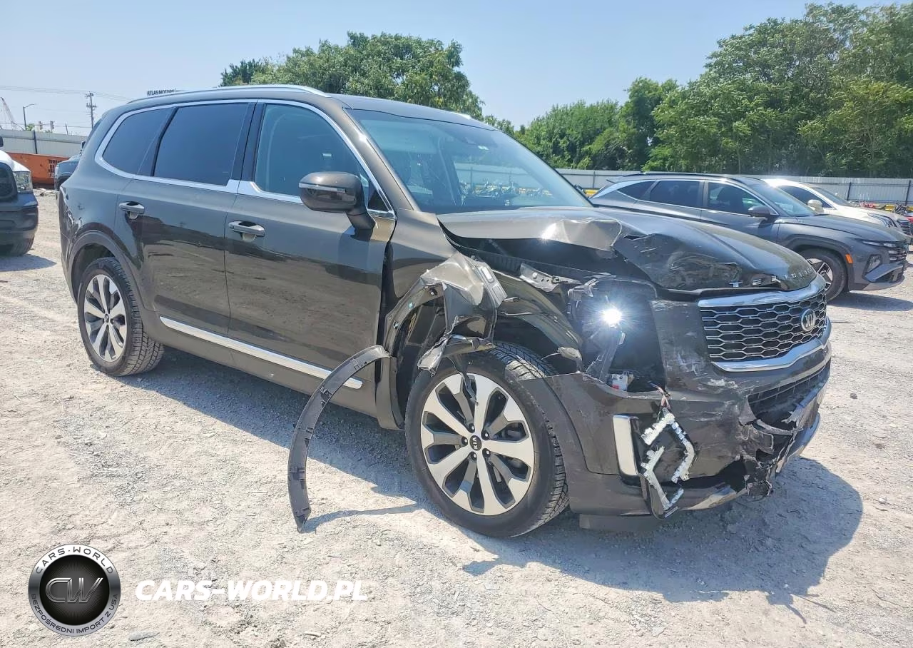 2021 Kia Telluride Ex VIN:5XYP34HC8MG174720 - 4
