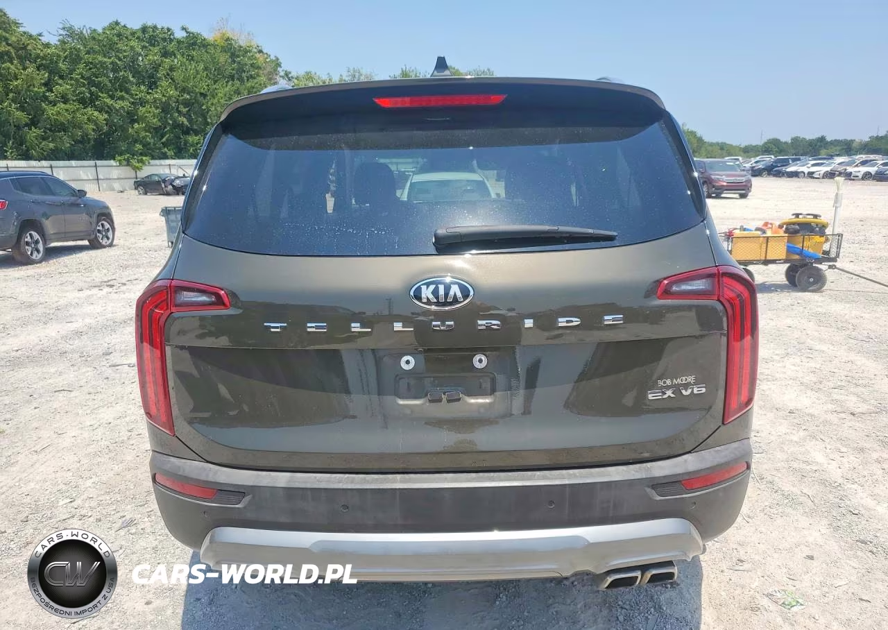 2021 Kia Telluride Ex VIN:5XYP34HC8MG174720 - 6