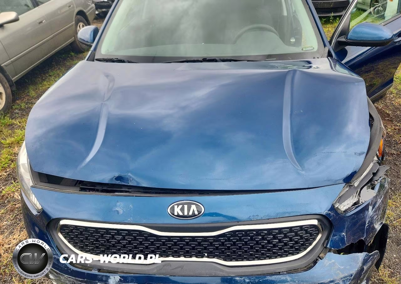 2019 Kia Niro Lx VIN:KNDCB3LC7K5244720 - 11