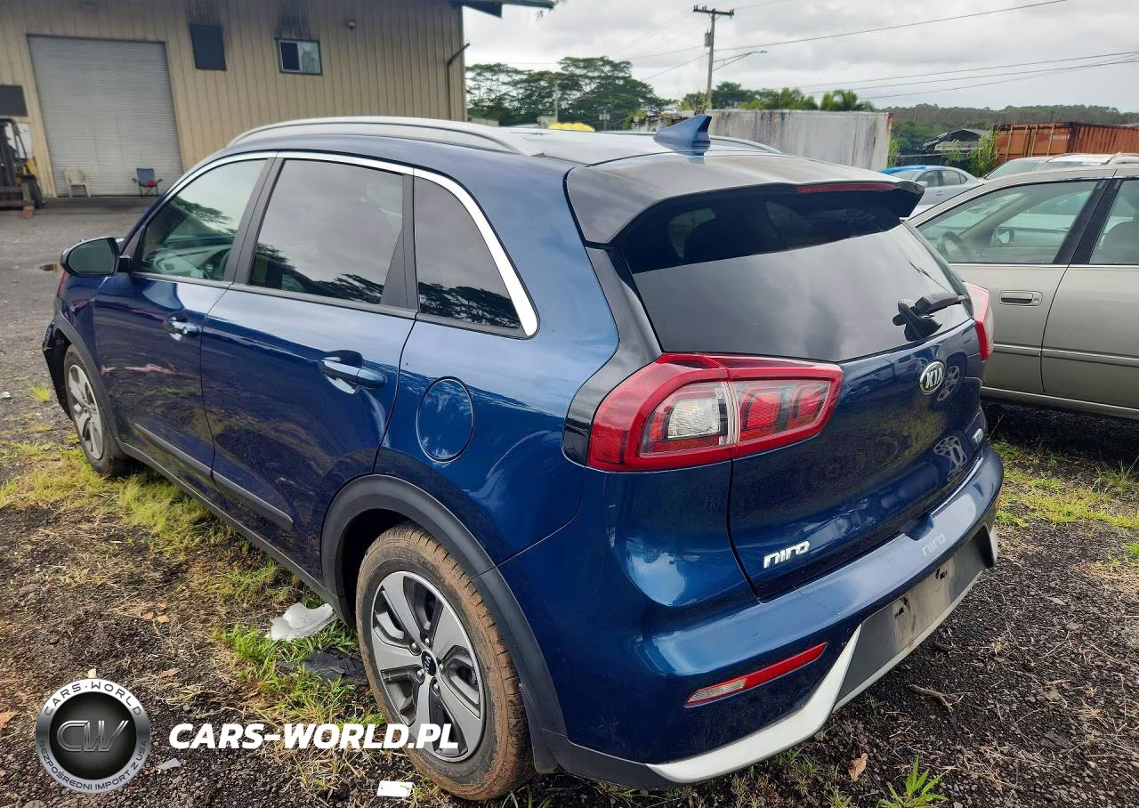 2019 Kia Niro Lx VIN:KNDCB3LC7K5244720 - 2