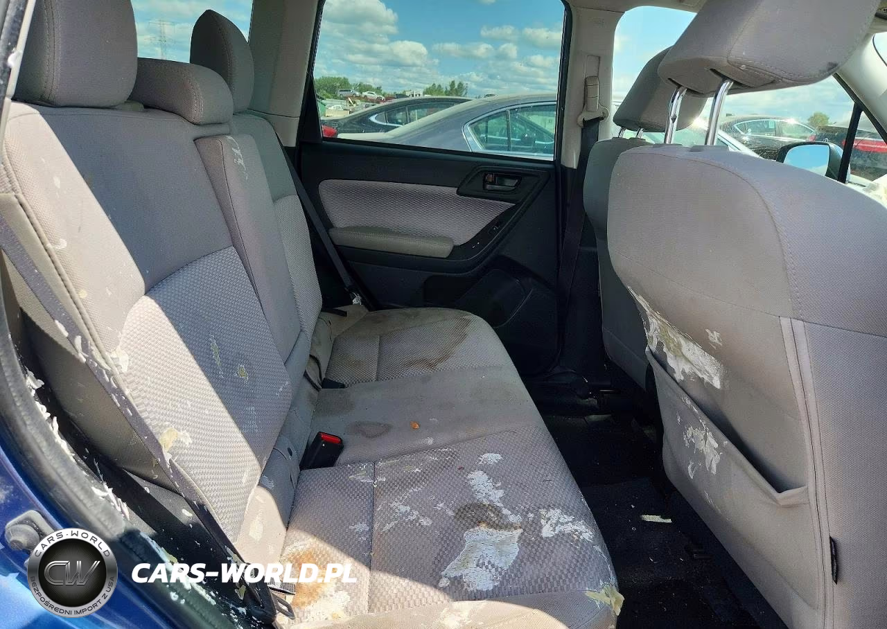 2018 Subaru Forester 2.5I Premium VIN:JF2SJAEC6JH430215 - 10