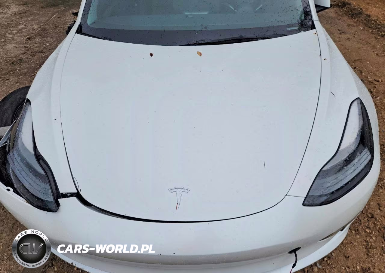 2023 Tesla Model 3 VIN:5YJ3E1EA5PF547850 - 12