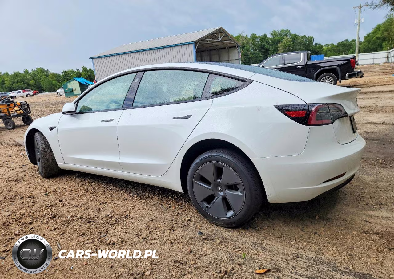 2023 Tesla Model 3 VIN:5YJ3E1EA5PF547850 - 2