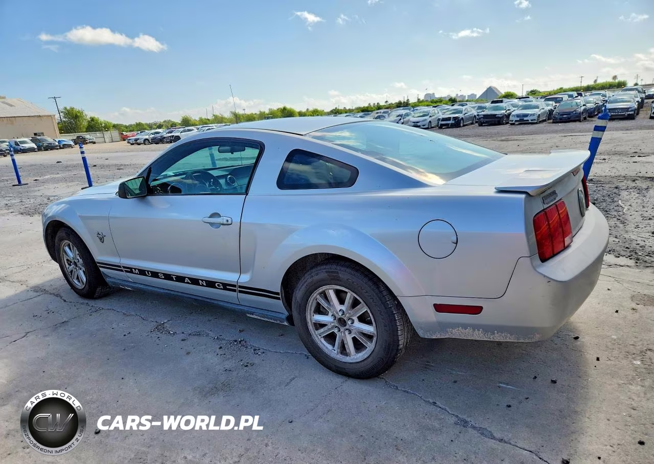 2009 Ford Mustang VIN:1ZVHT80N495124158 - 2