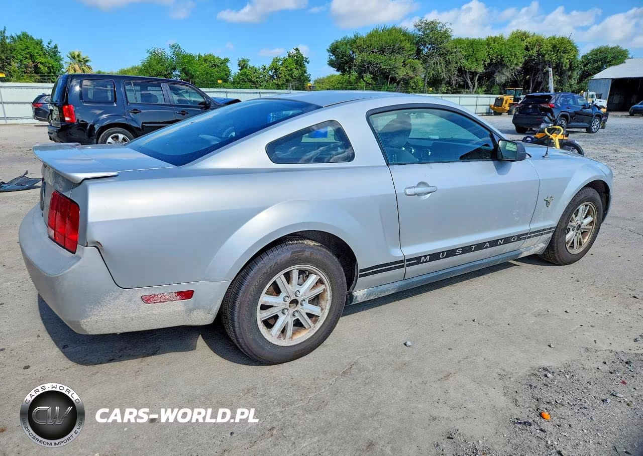 2009 Ford Mustang VIN:1ZVHT80N495124158 - 3