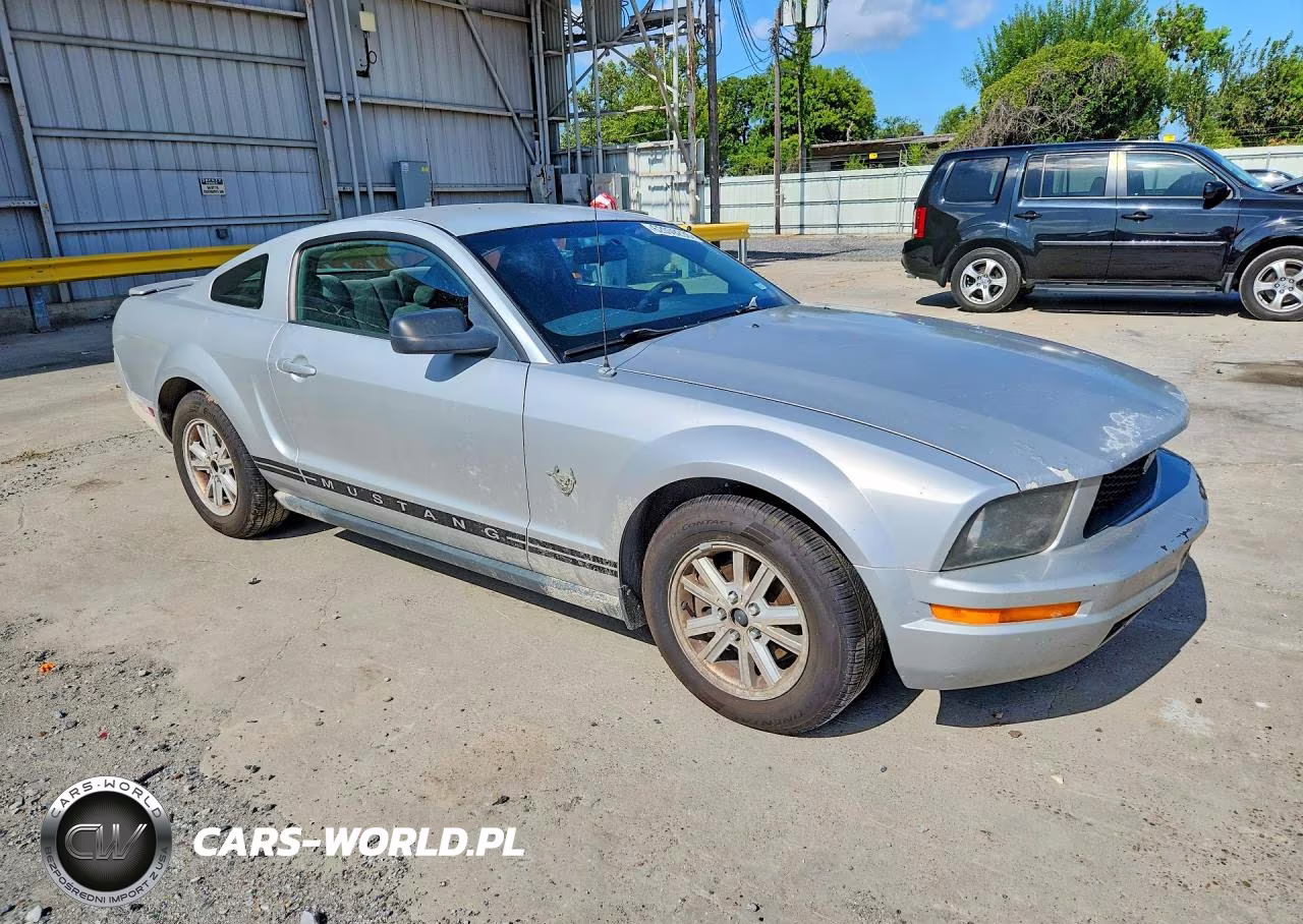 2009 Ford Mustang VIN:1ZVHT80N495124158 - 4