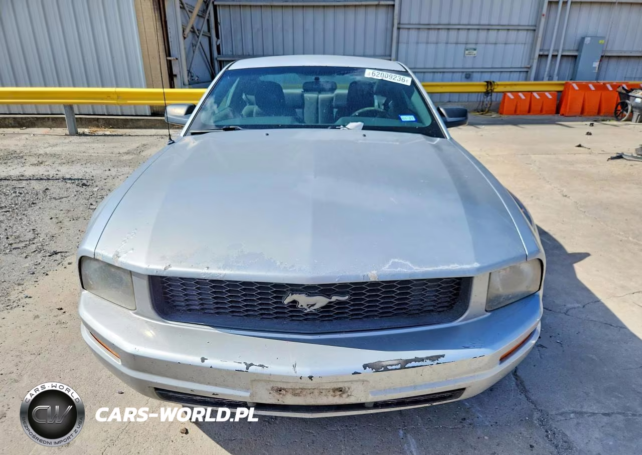 2009 Ford Mustang VIN:1ZVHT80N495124158 - 5