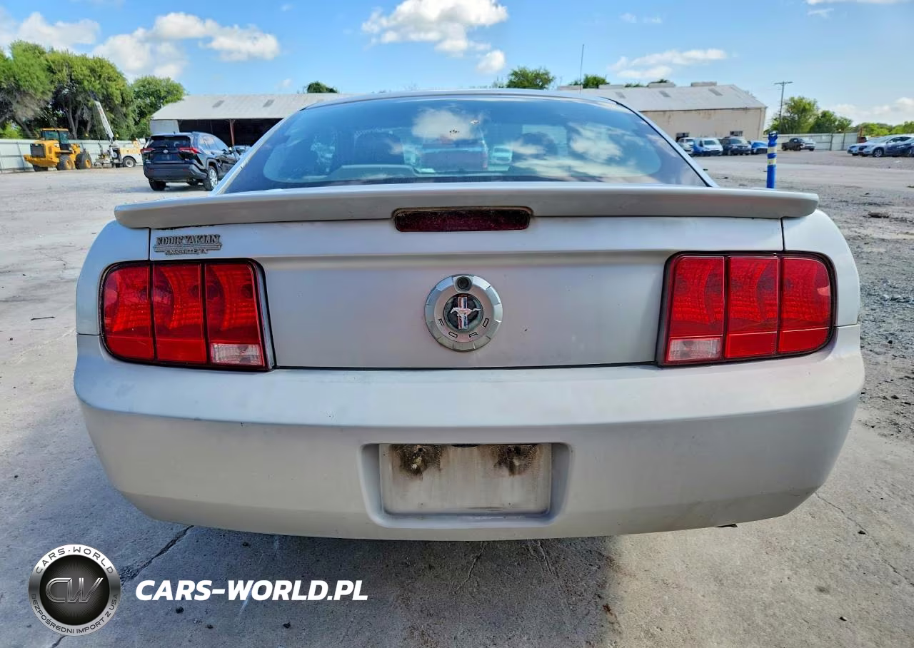 2009 Ford Mustang VIN:1ZVHT80N495124158 - 6