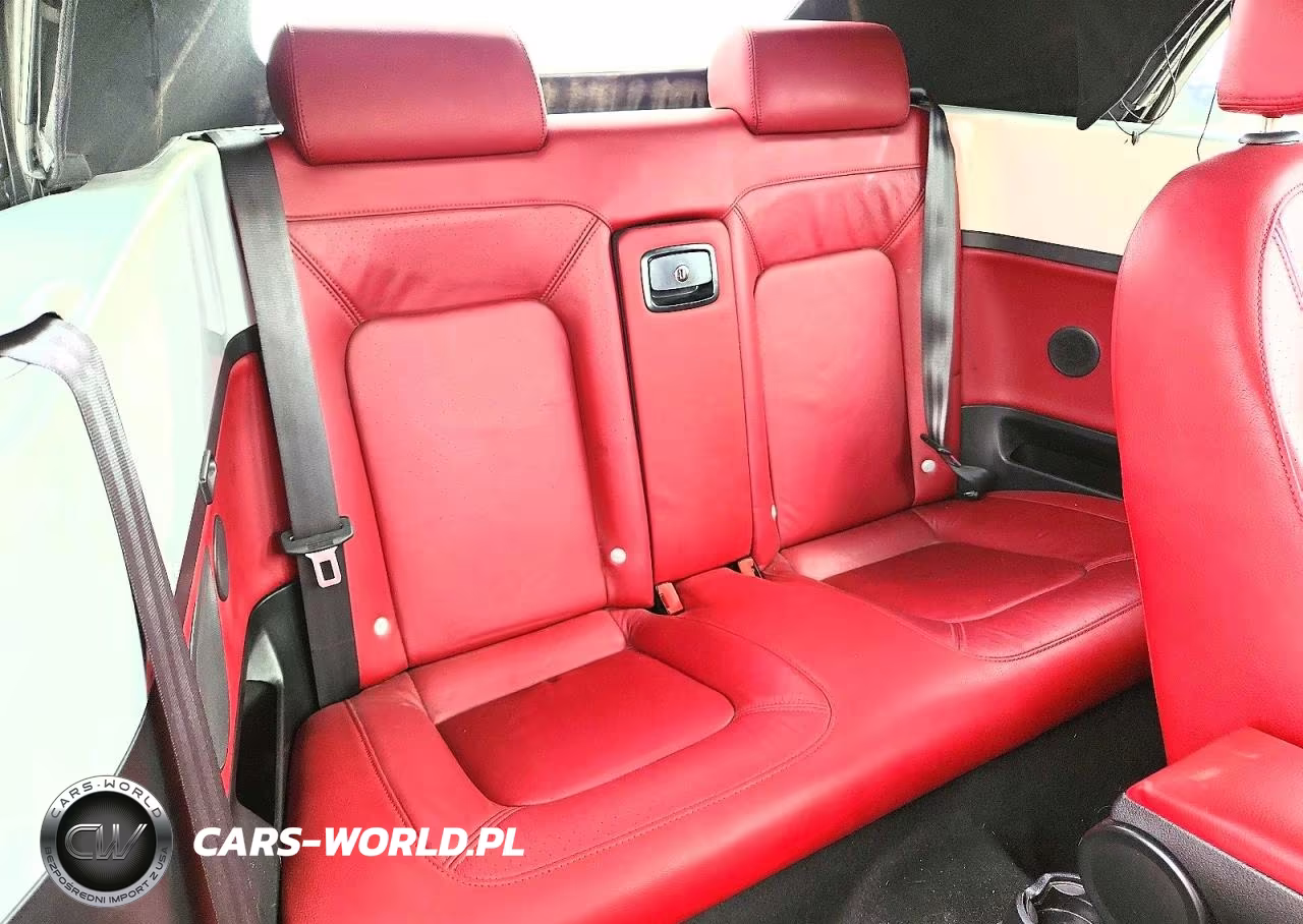 2009 Volkswagen New Beetle Blush Edition VIN:3VWSF31Y29M410979 - 10