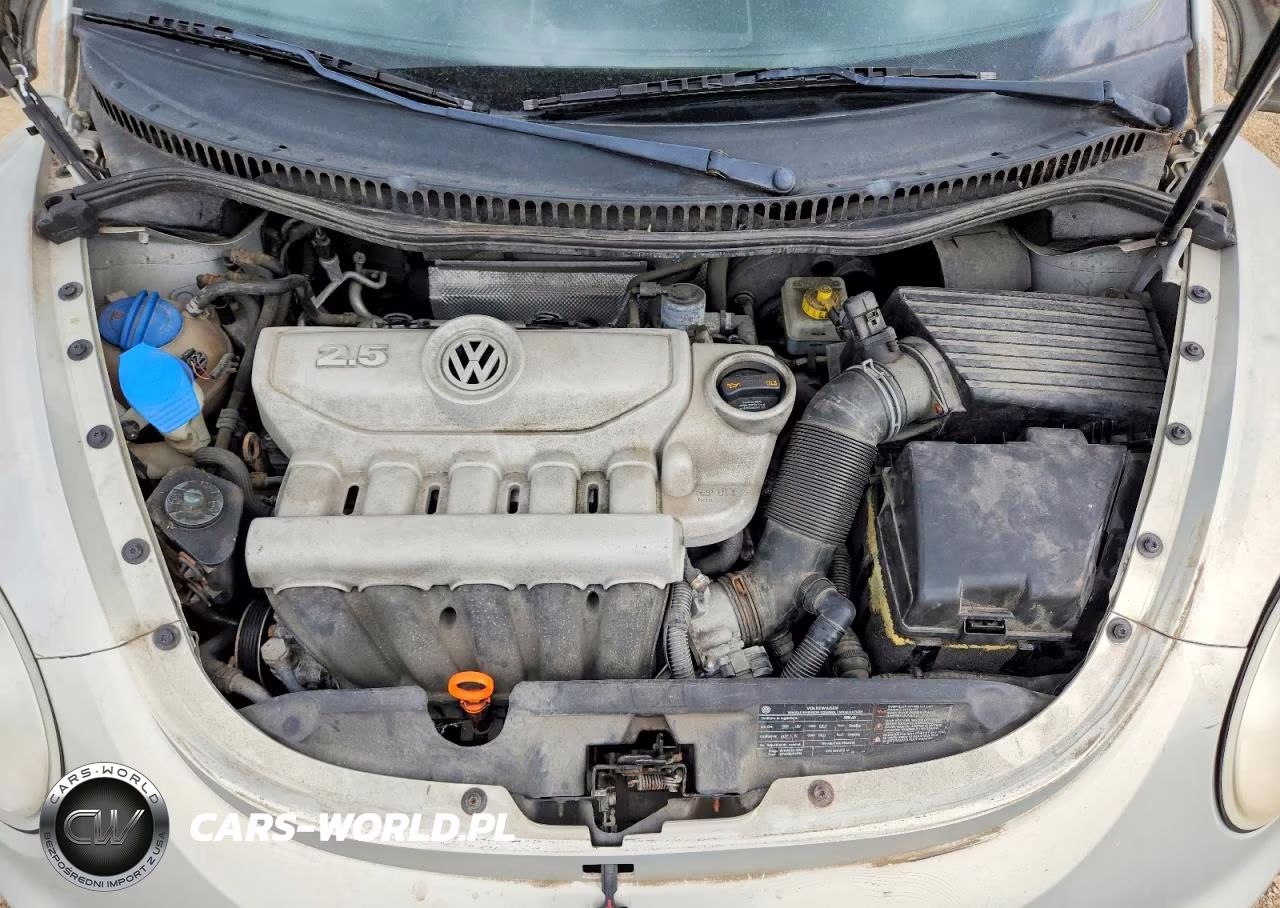 2009 Volkswagen New Beetle Blush Edition VIN:3VWSF31Y29M410979 - 11