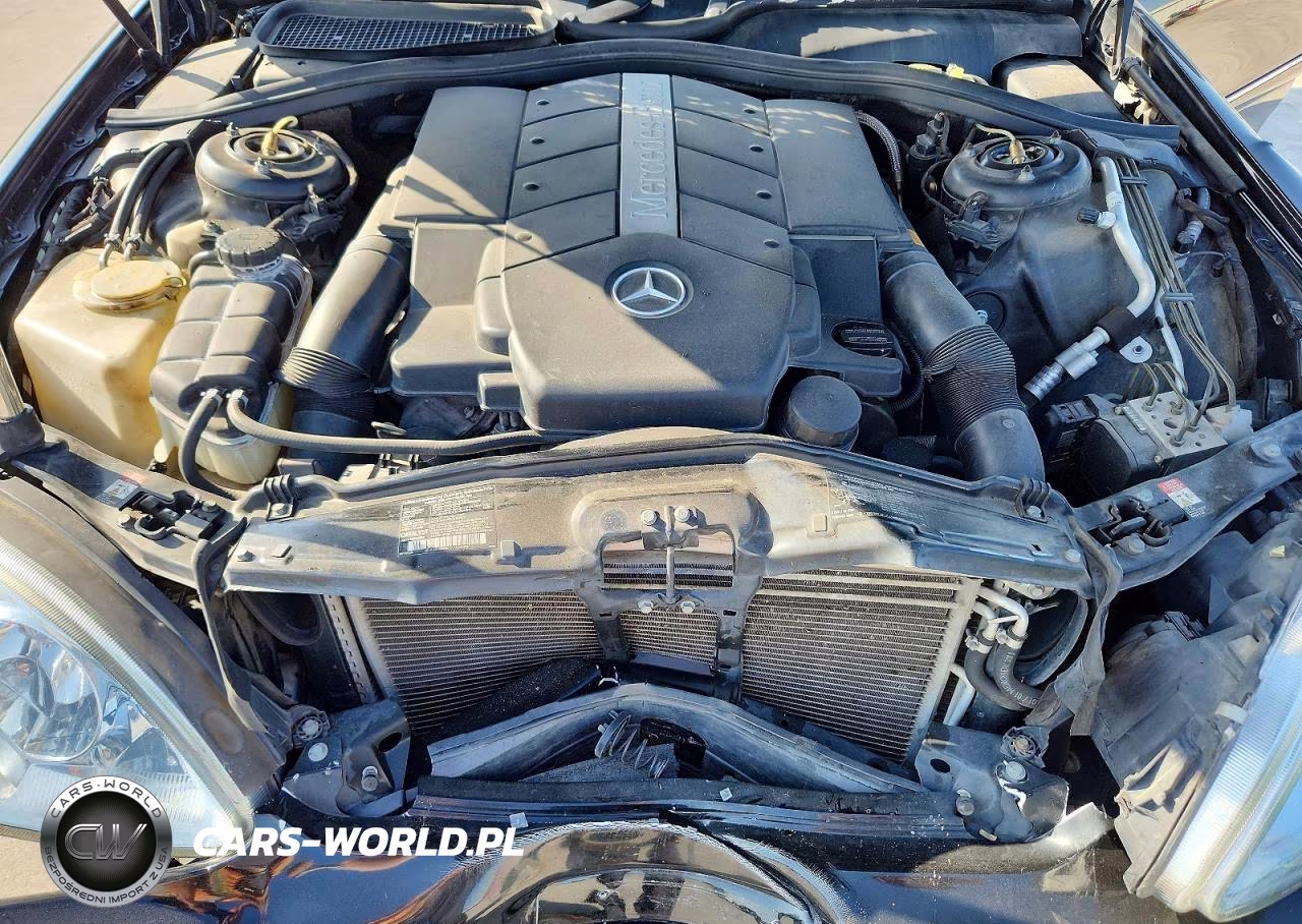 2001 Mercedes-Benz S 500 VIN:WDBNG75J41A198541 - 11