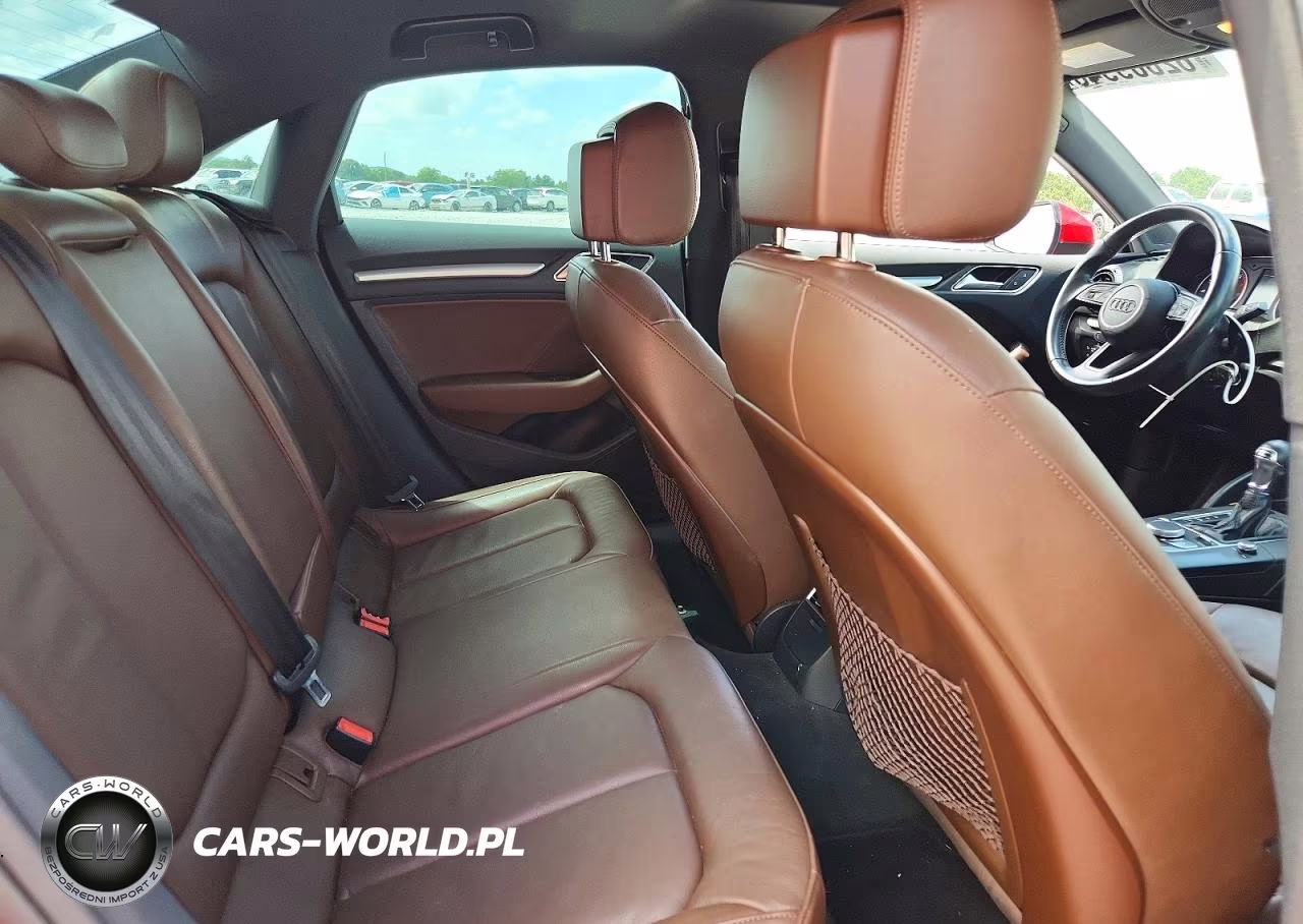 2017 Audi A3 Premium VIN:WAUAUGFF2H1023439 - 10