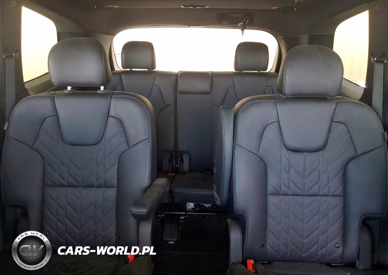 2023 Kia Telluride Sx VIN:5XYP5DGC6PG367674 - 10