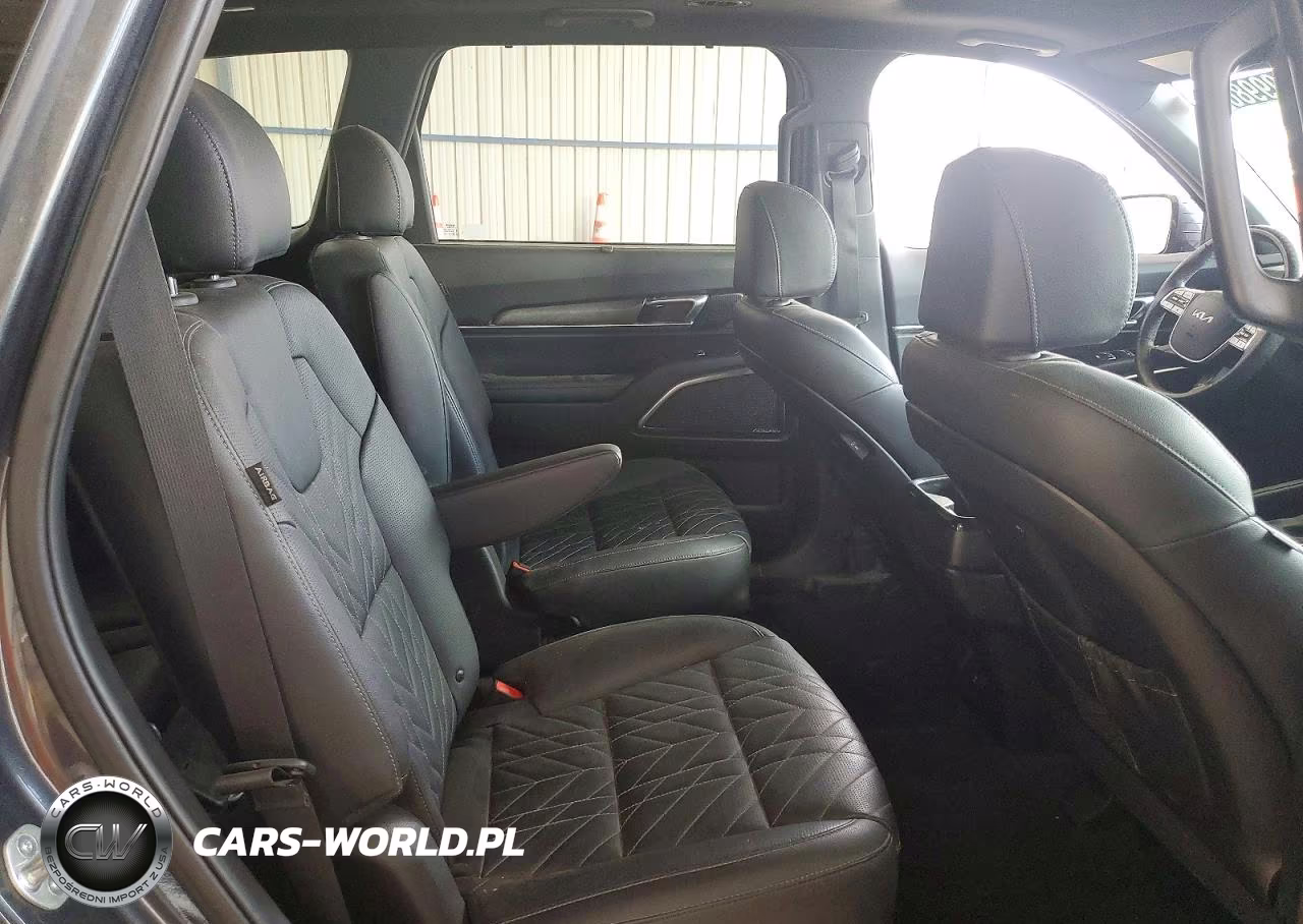 2023 Kia Telluride Sx VIN:5XYP5DGC6PG367674 - 11