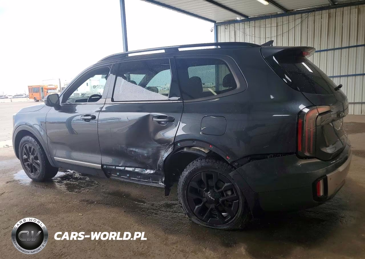 2023 Kia Telluride Sx VIN:5XYP5DGC6PG367674 - 2