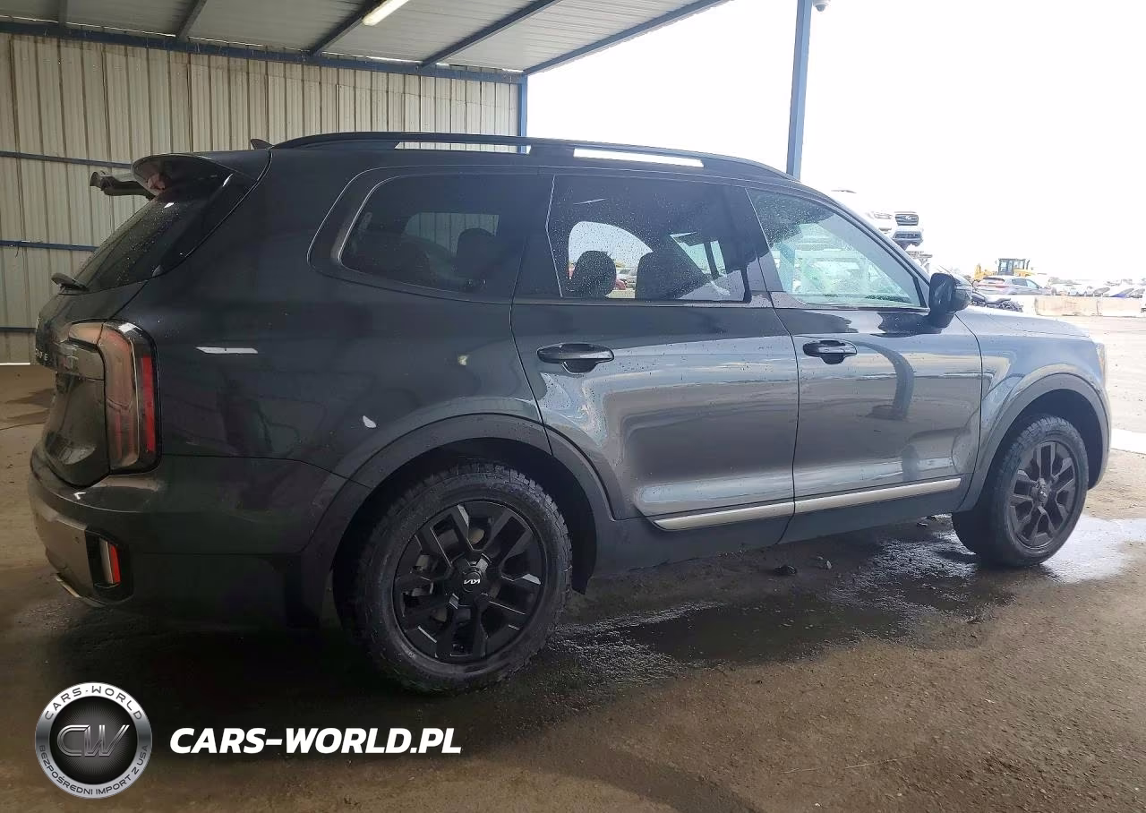 2023 Kia Telluride Sx VIN:5XYP5DGC6PG367674 - 3