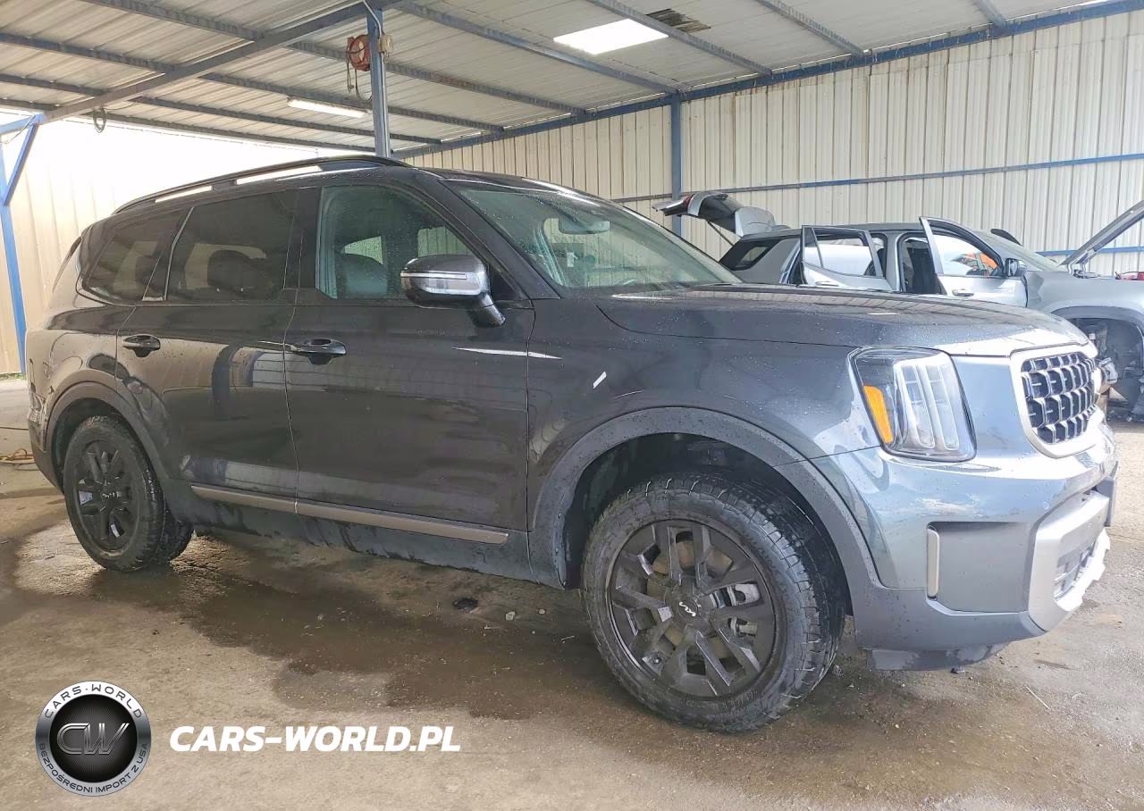2023 Kia Telluride Sx VIN:5XYP5DGC6PG367674 - 4