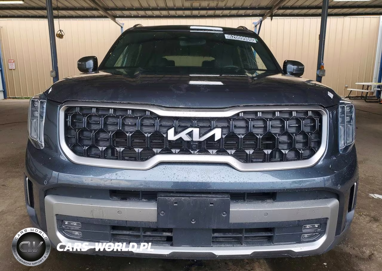 2023 Kia Telluride Sx VIN:5XYP5DGC6PG367674 - 5
