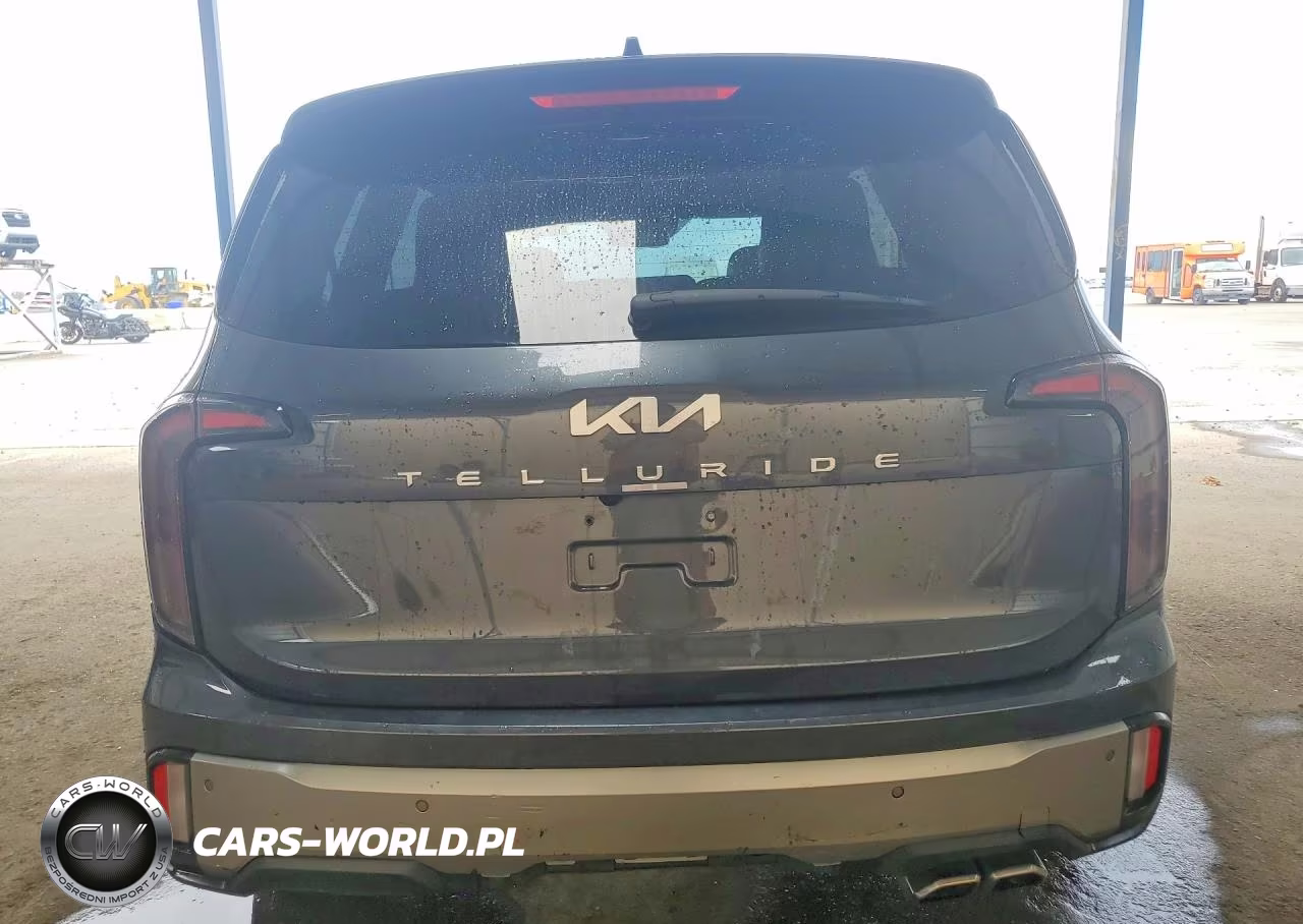 2023 Kia Telluride Sx VIN:5XYP5DGC6PG367674 - 6