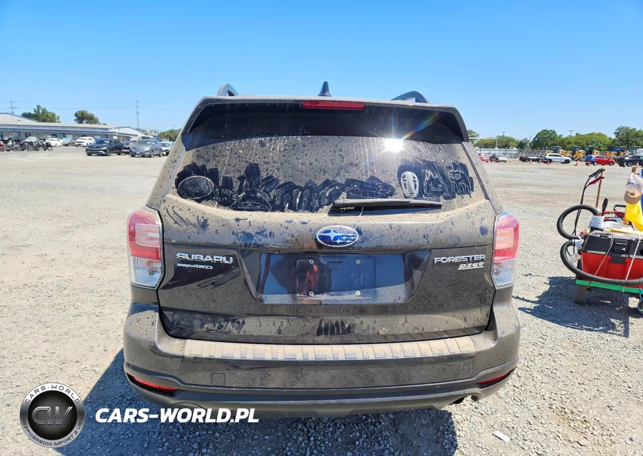 2017 Subaru Forester 2.5I Premium VIN:JF2SJADCXHH446235 - 6
