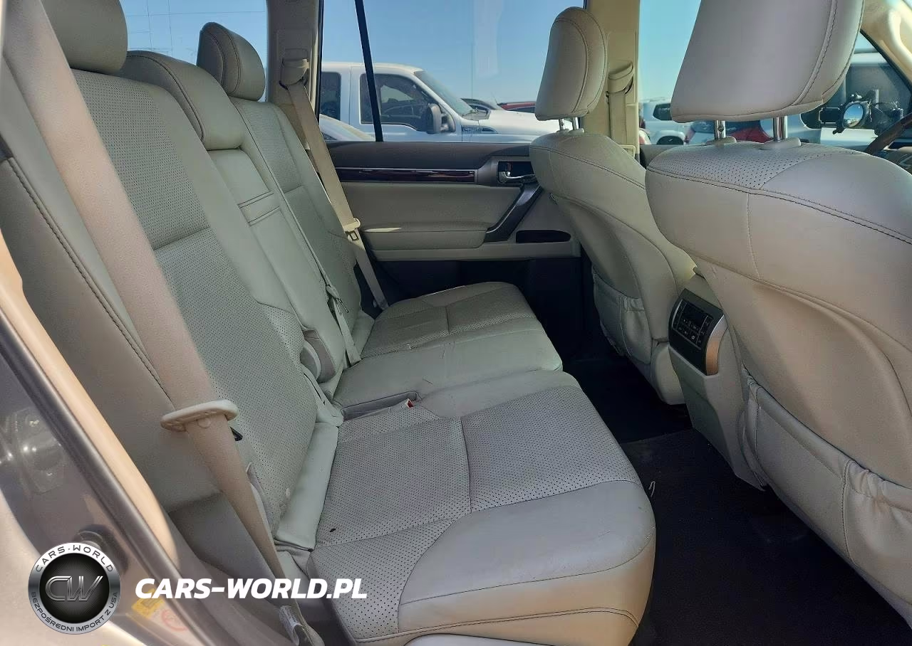 2010 Lexus Gx 460 Premium VIN:JTJJM7FXXA5017136 - 10