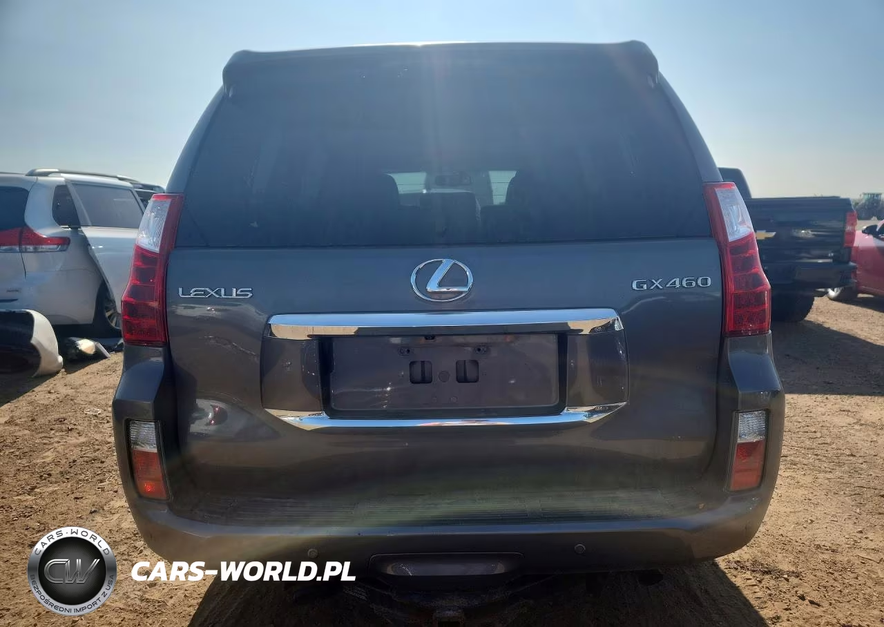 2010 Lexus Gx 460 Premium VIN:JTJJM7FXXA5017136 - 6