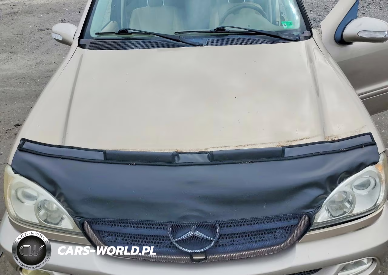 2002 Mercedes-Benz Ml 320 VIN:4JGAB54E62A364854 - 12