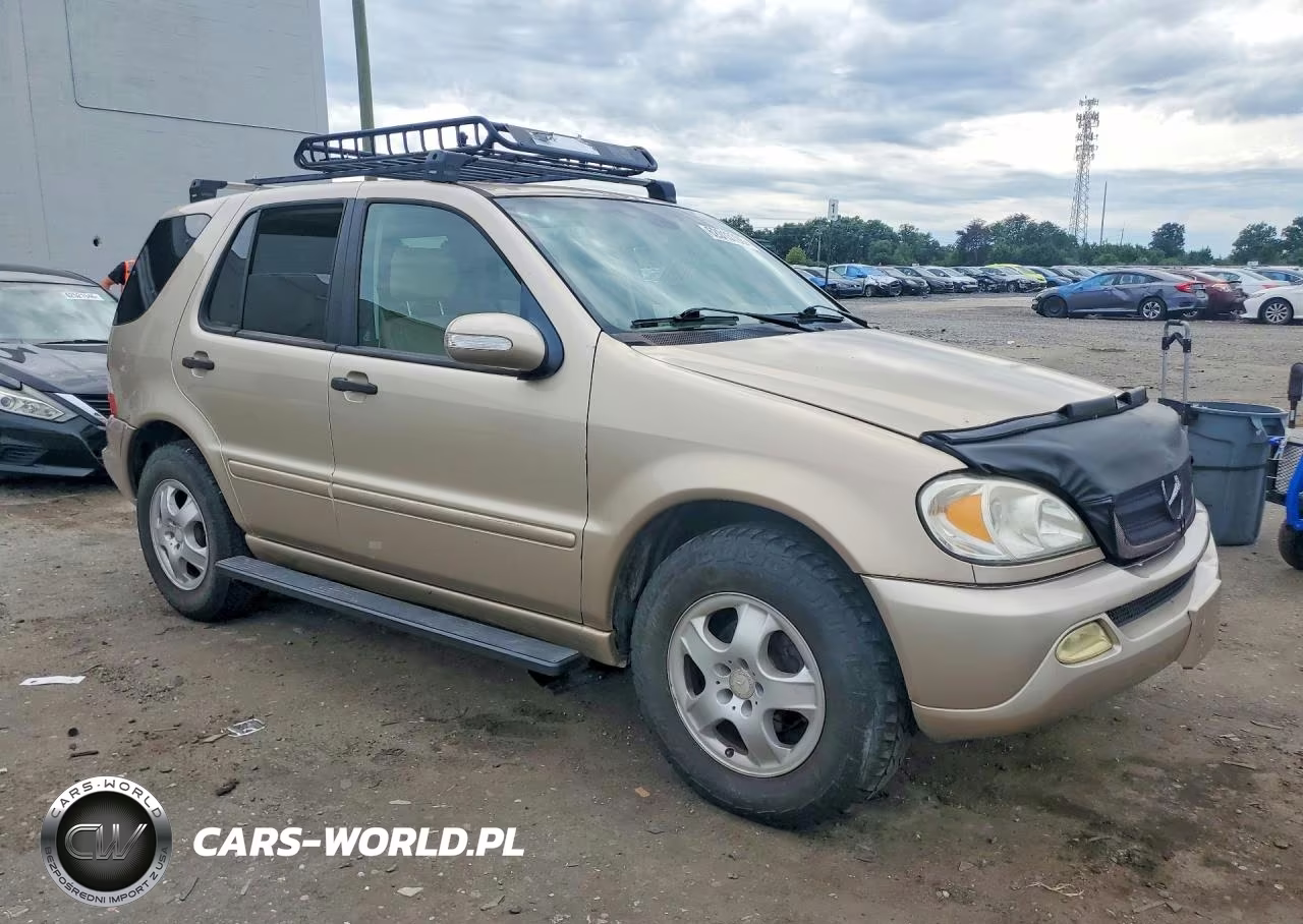 2002 Mercedes-Benz Ml 320 VIN:4JGAB54E62A364854 - 4