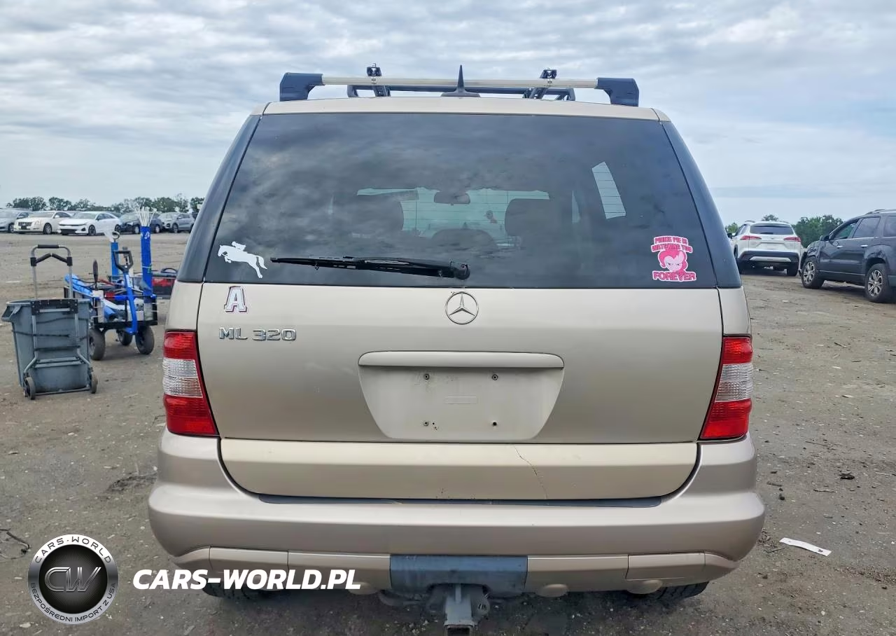 2002 Mercedes-Benz Ml 320 VIN:4JGAB54E62A364854 - 6