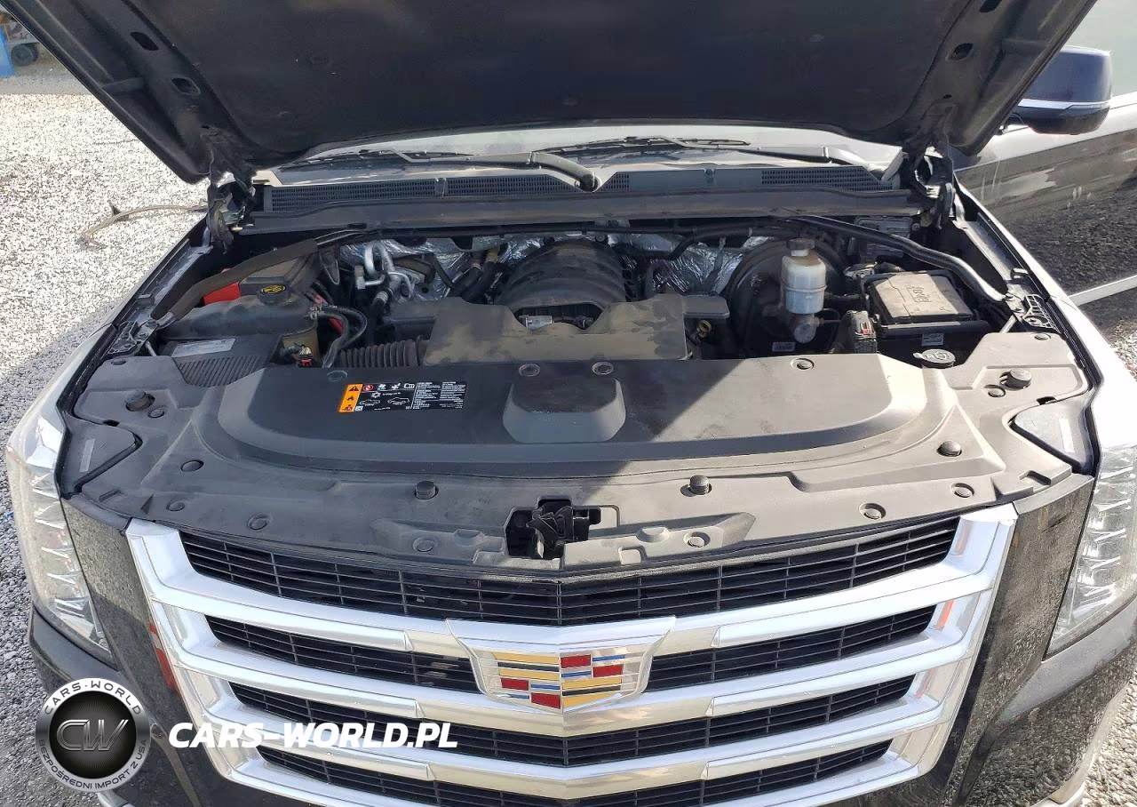 2018 Cadillac Escalade Esv Luxury VIN:1GYS4HKJ9JR237000 - 12