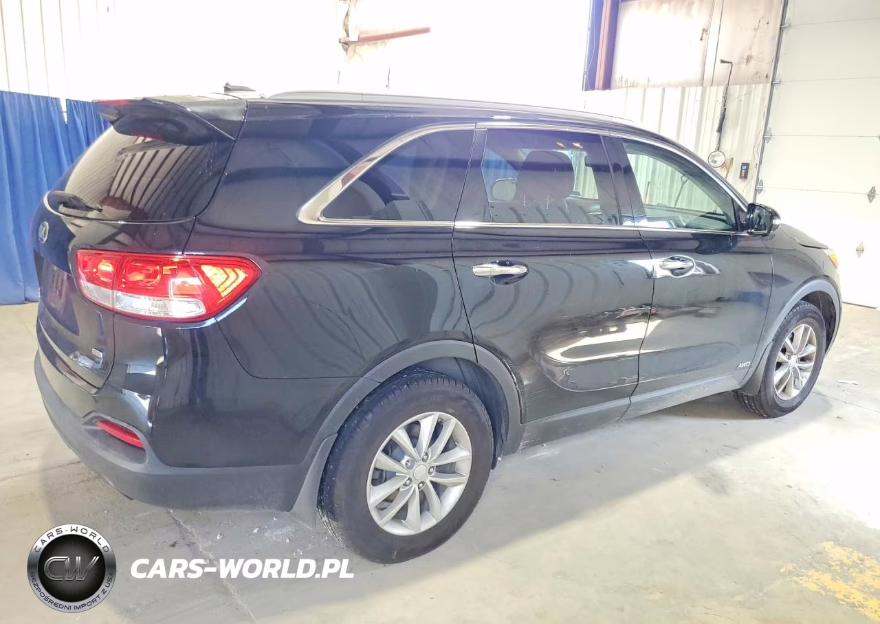 2016 Kia Sorento Lx VIN:5XYPGDA35GG168036 - 3
