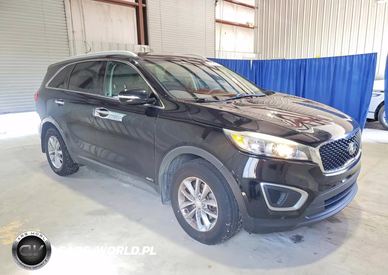 2016 Kia Sorento Lx VIN:5XYPGDA35GG168036 - 4