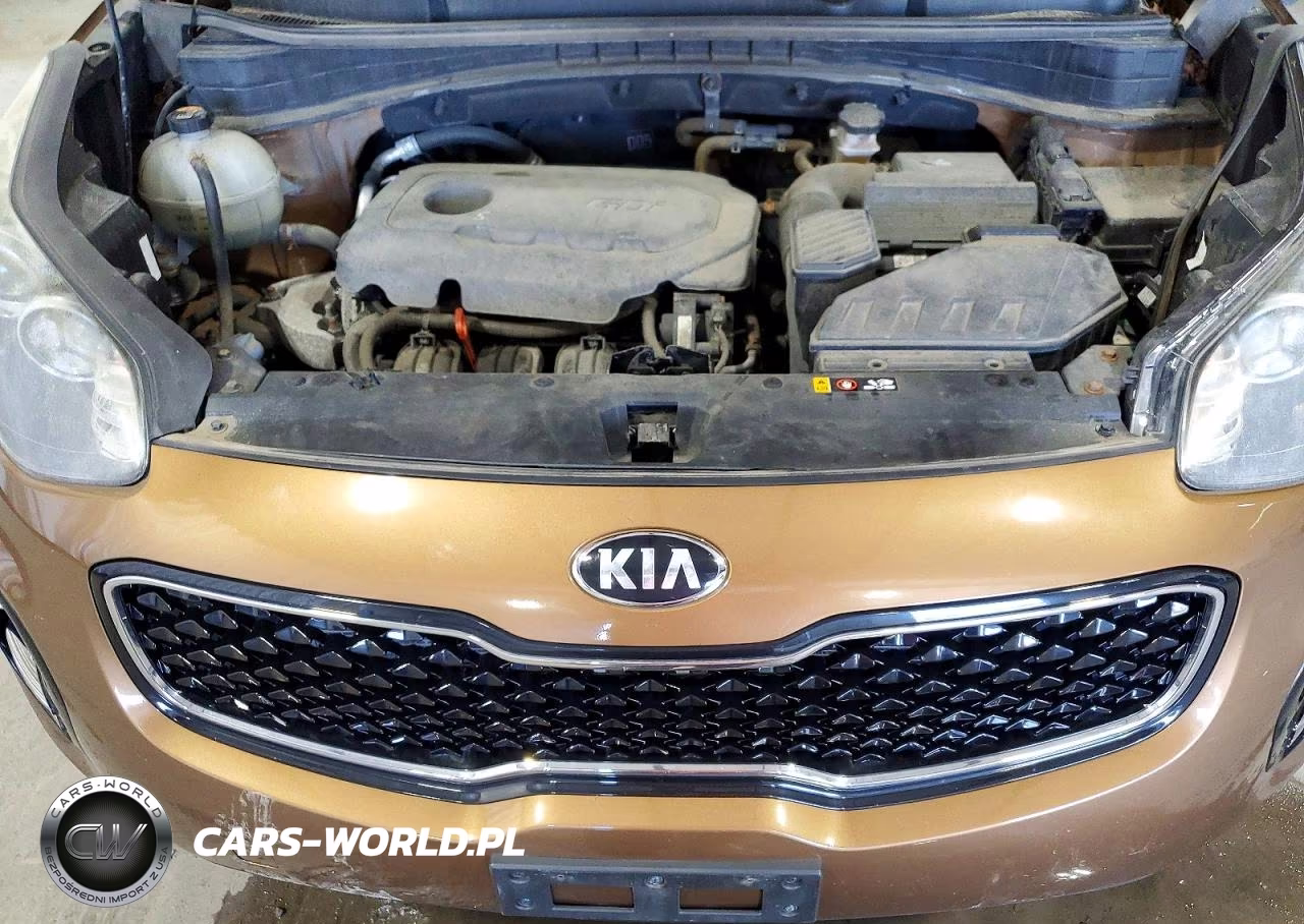 2018 Kia Sportage Lx VIN:KNDPMCAC6J7391922 - 12