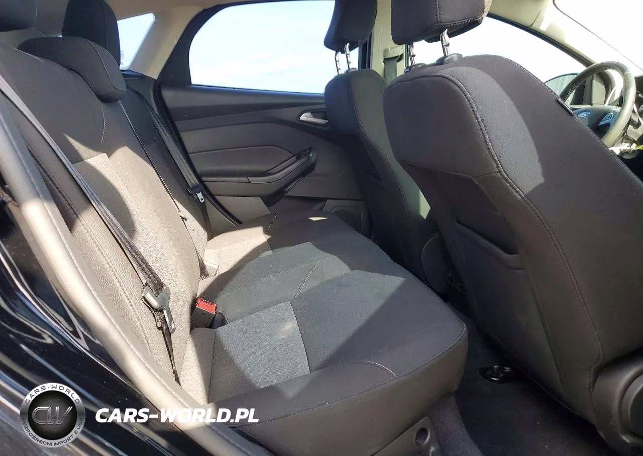 2016 Ford Focus Se VIN:1FADP3K21GL287893 - 10