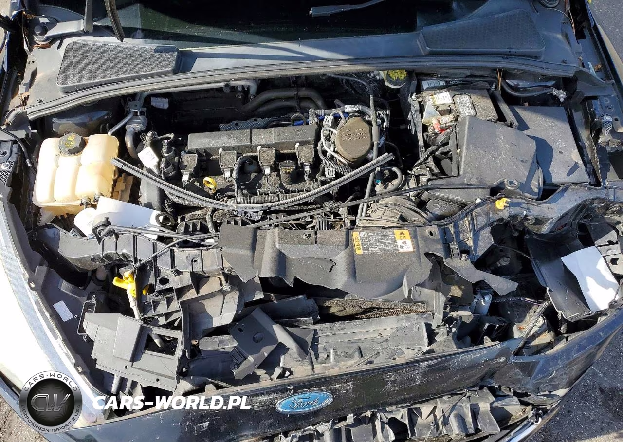 2016 Ford Focus Se VIN:1FADP3K21GL287893 - 11