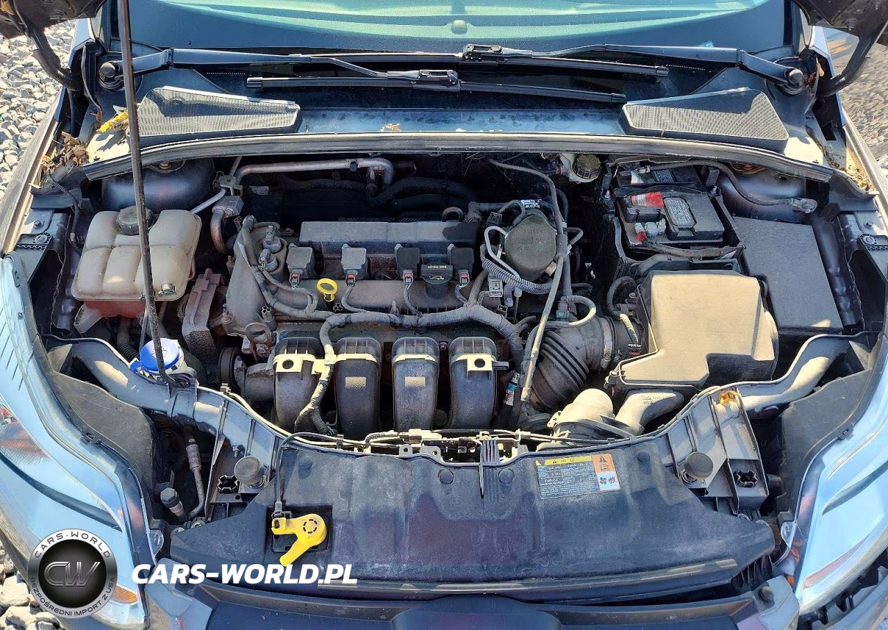 2013 Ford Focus Se VIN:1FADP3F25DL337295 - 11