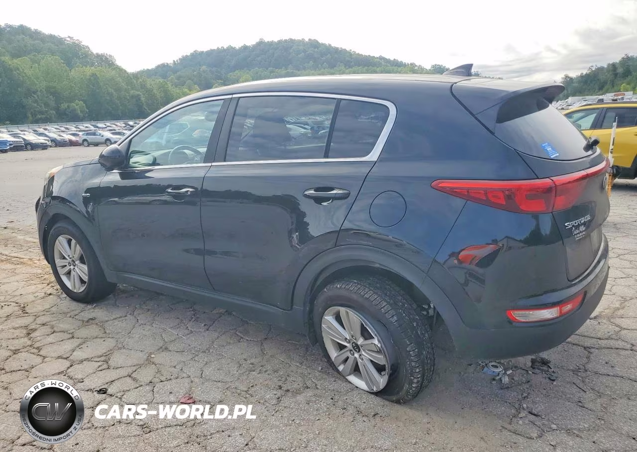 2017 Kia Sportage Lx VIN:KNDPMCAC2H7177682 - 2