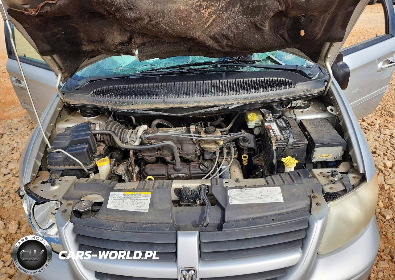 2006 Dodge Grand Caravan Sxt VIN:2D4GP44L46R755594 - 12