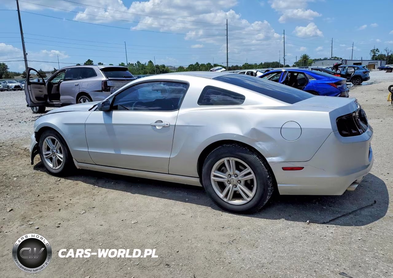 2013 Ford Mustang VIN:1ZVBP8AM4D5251954 - 2