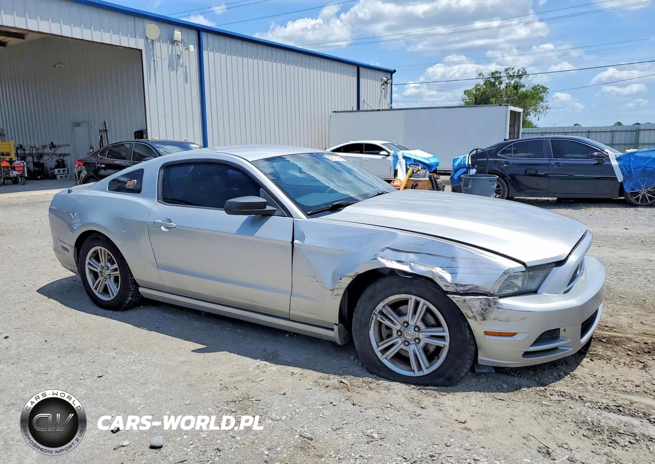 2013 Ford Mustang VIN:1ZVBP8AM4D5251954 - 4