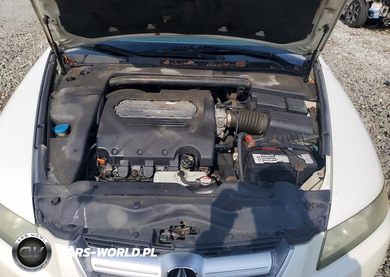 2005 Acura Tl VIN:19UUA66235A072338 - 11