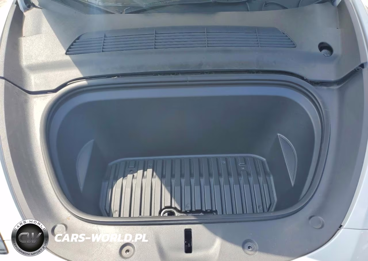 2024 Tesla Model Y VIN:7SAYGDED3RF097794 - 11